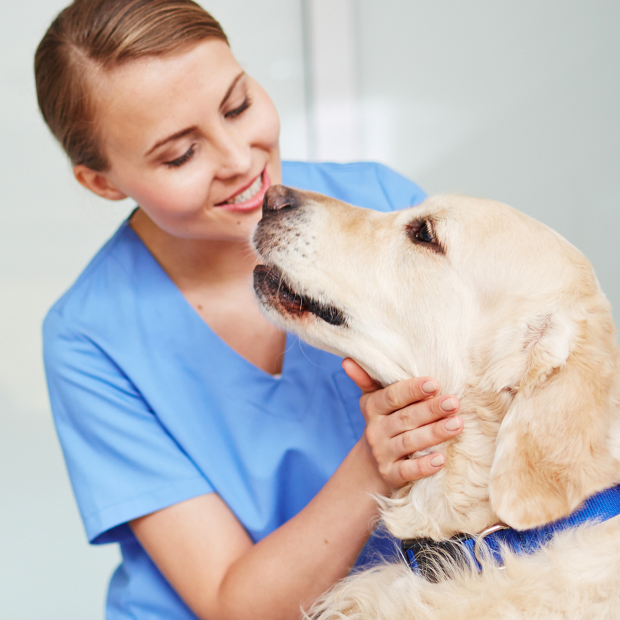Specialty Programs